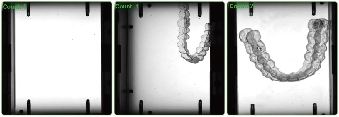 Product Count Inspection: Visual Demonstration of Count-Based Verification